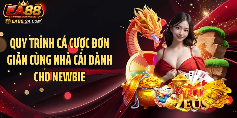 Quy trình cá cược đơn giản cùng nhà cái dành cho newbie